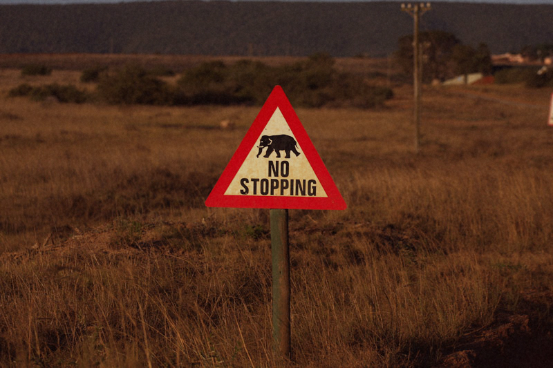 IMG_5344-Editdenstoraresan,-familjen,-safari,-sydafrika
