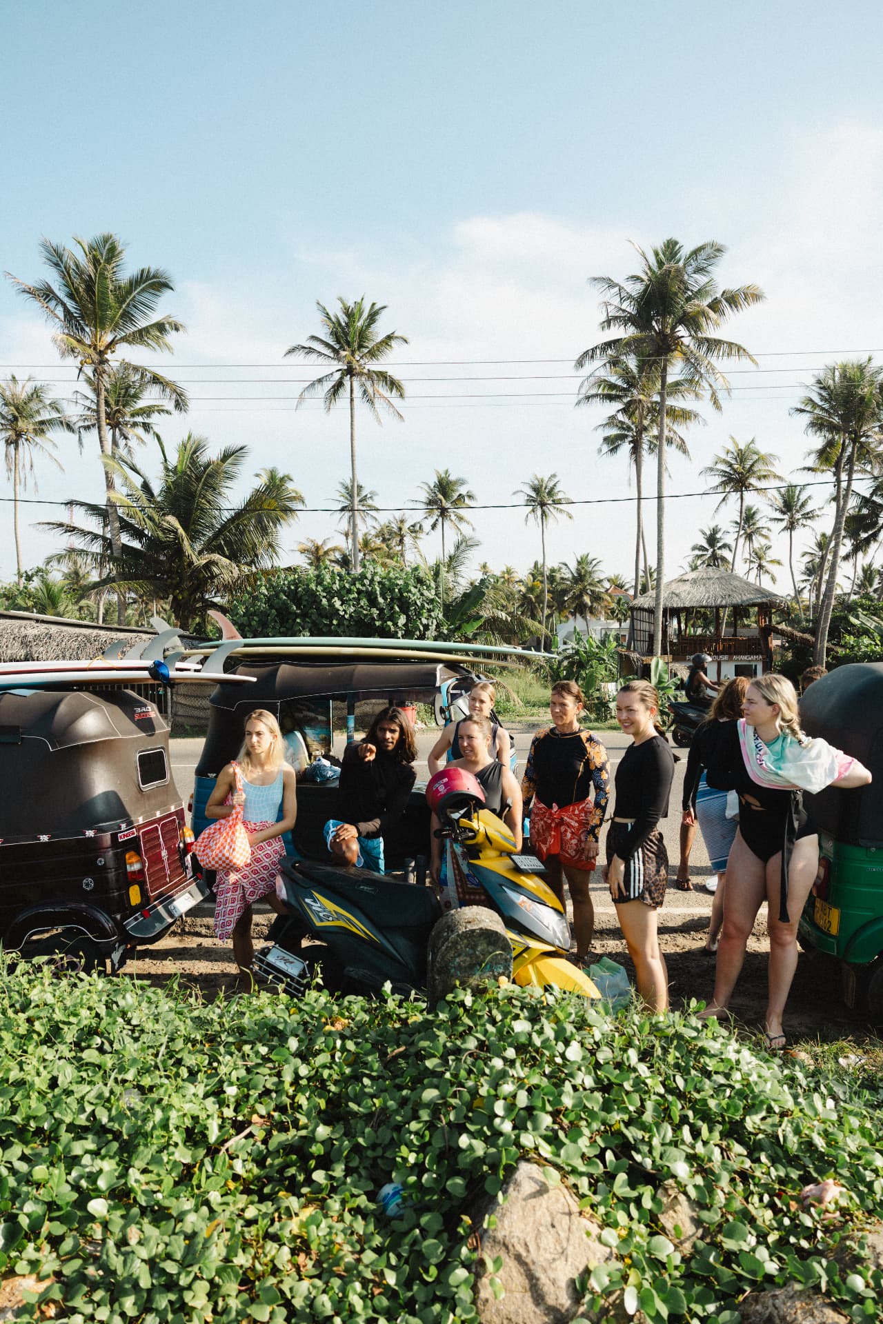 Guests and coach heading out for a surf lesson among the palms