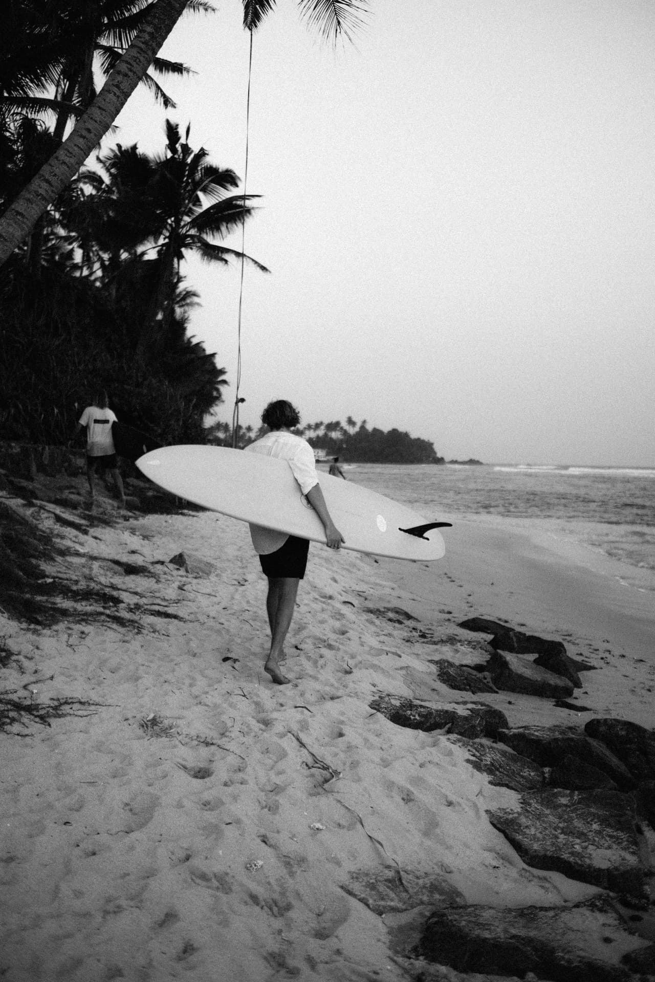 A surfer carrying a longboard down a palm-lined beach