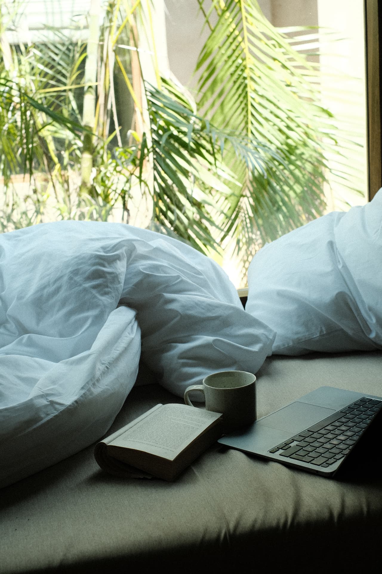Coffee, a book and morning light in a room at Sunshinestories