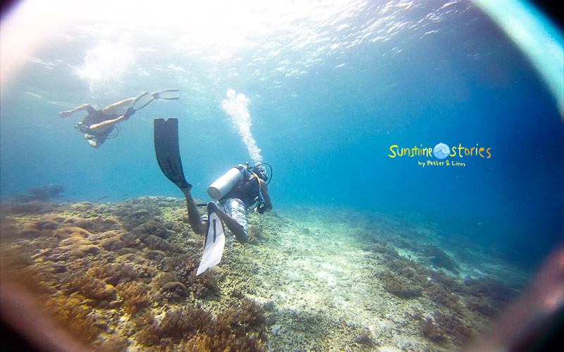 diving the gilis