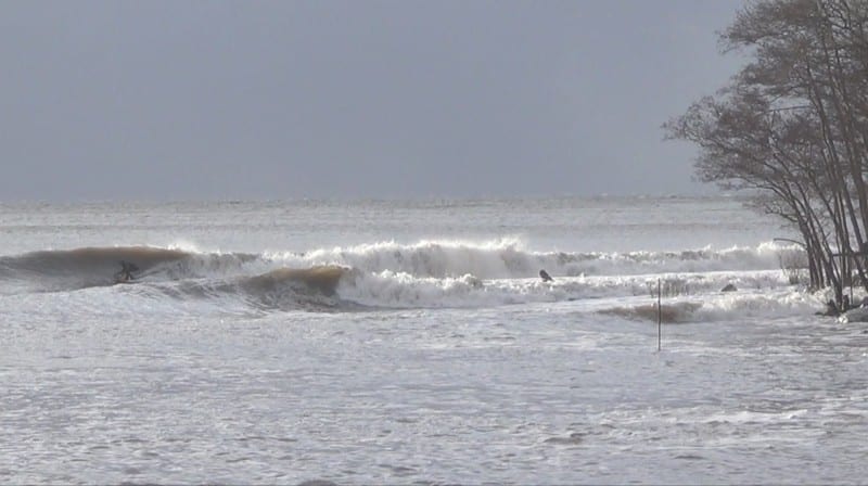 SURF SKÅNE