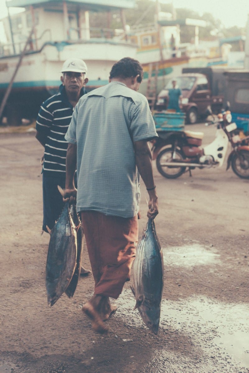 Sri-Lanka-Dondra-Fish-Market-Sunshinestories-Blog-Photos-5509
