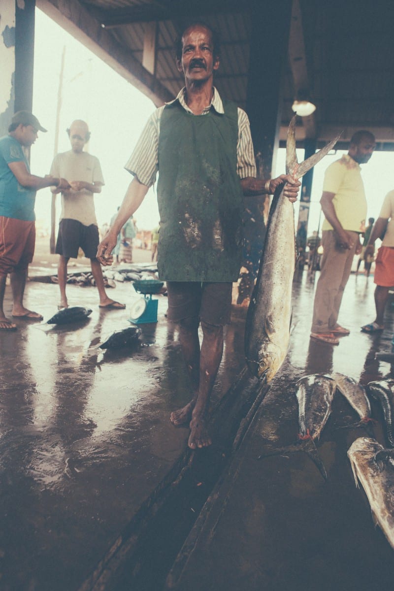 Sri-Lanka-Dondra-Fish-Market-Sunshinestories-Blog-Photos-5549