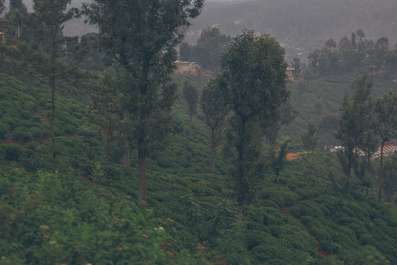 Ella-Nuwara-Eliya-train-Kandy-Sri-Lanka-mountains