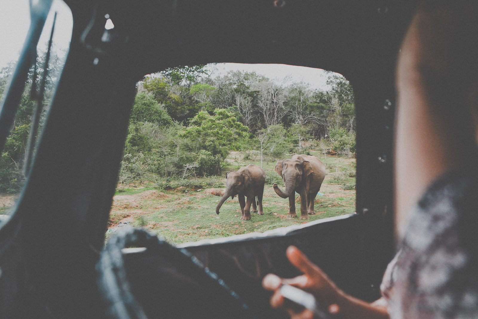 Sri Lanka-Yala-National-Park-Elephant-Wildlife-Safari-Jeep-Roadtrip-IMG_6256