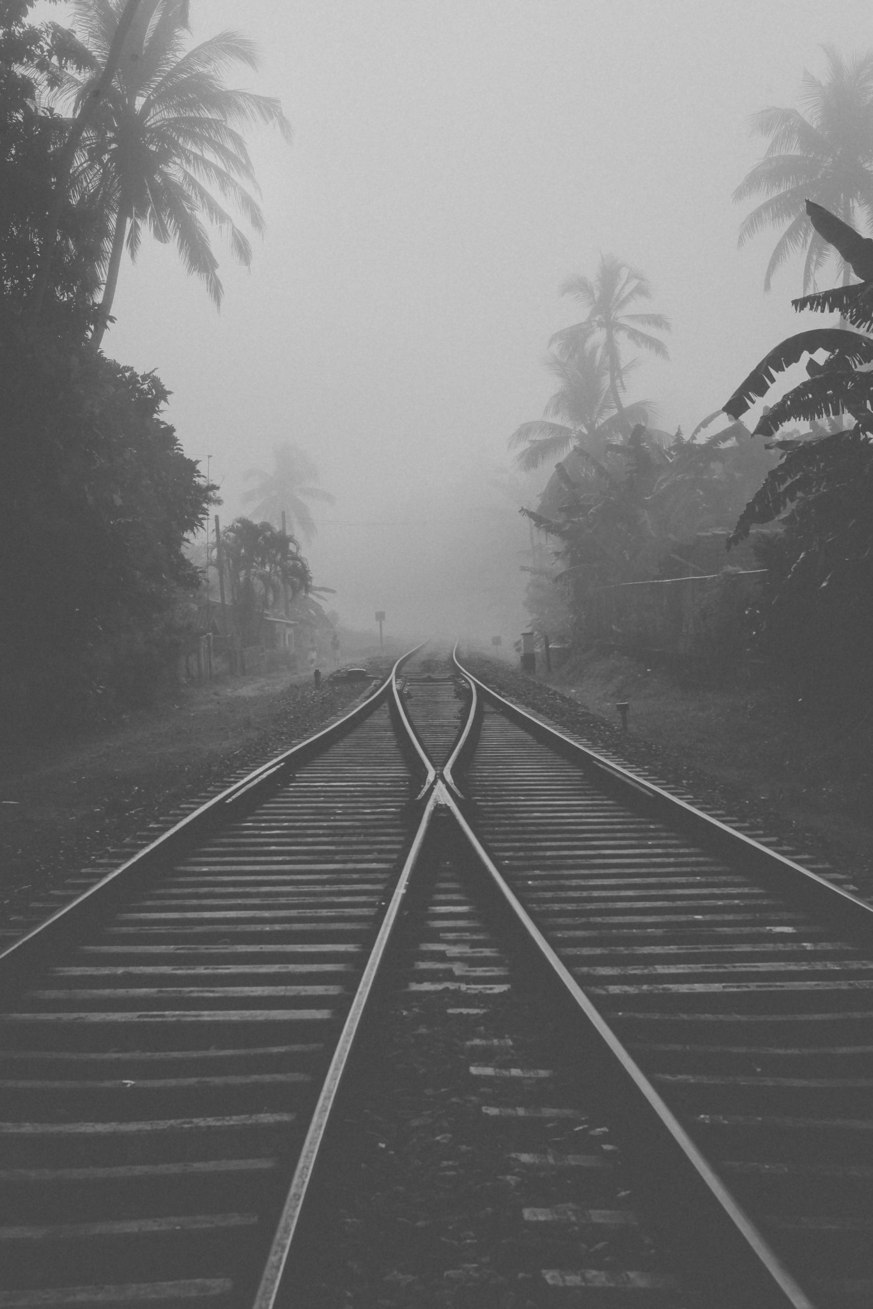 Sri Lanka-Railroad-Ahangama-Midigama-Galle-Road-Train-Sunrise-Blog-9507