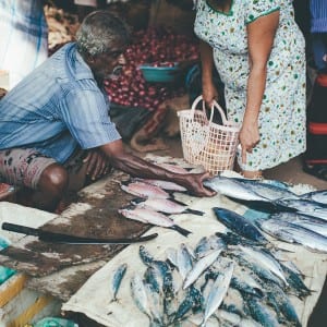 Fish at Weligama market
