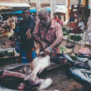 Fish market in Sri Lanka