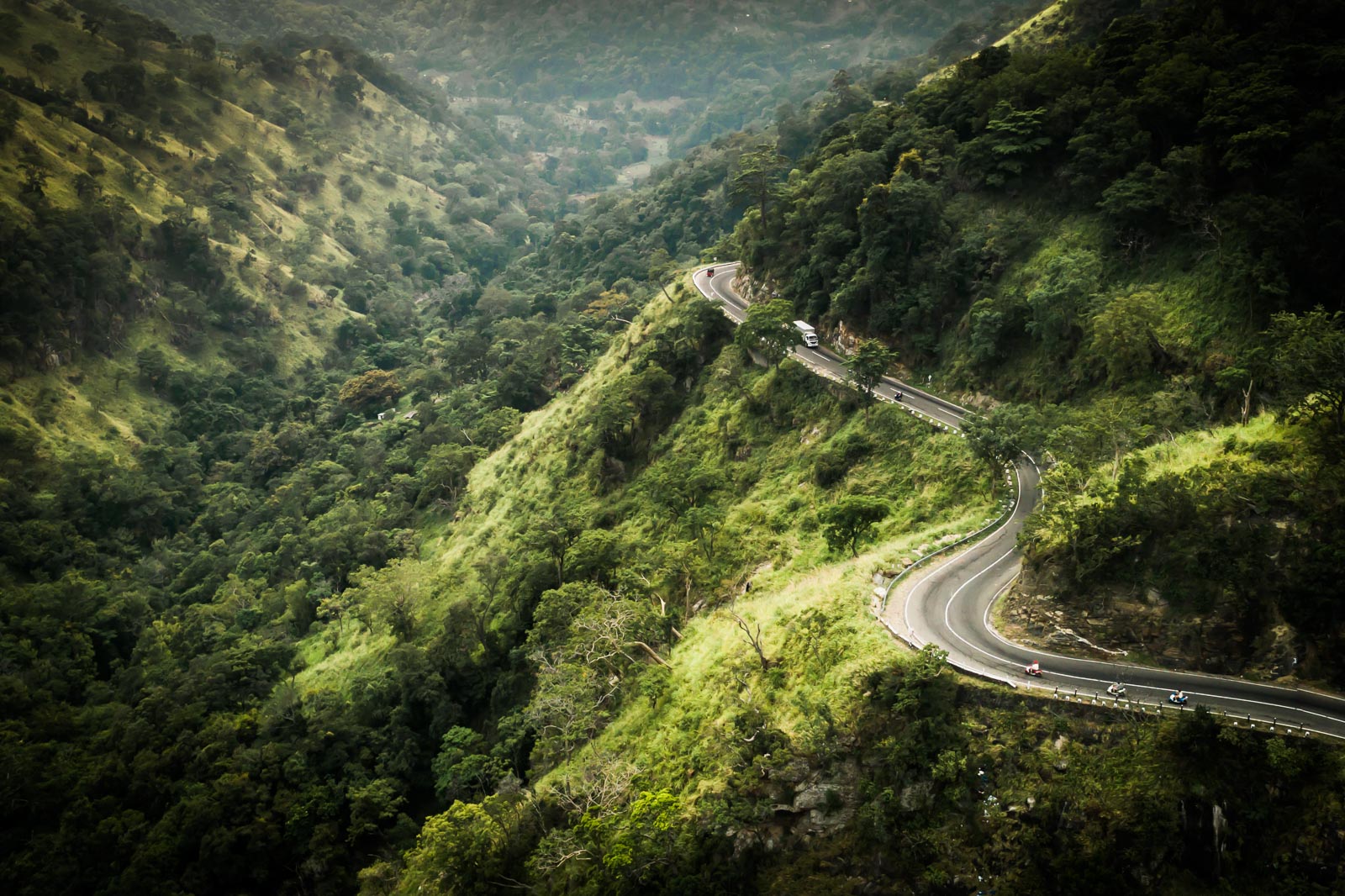 hill-country-sri-lanka