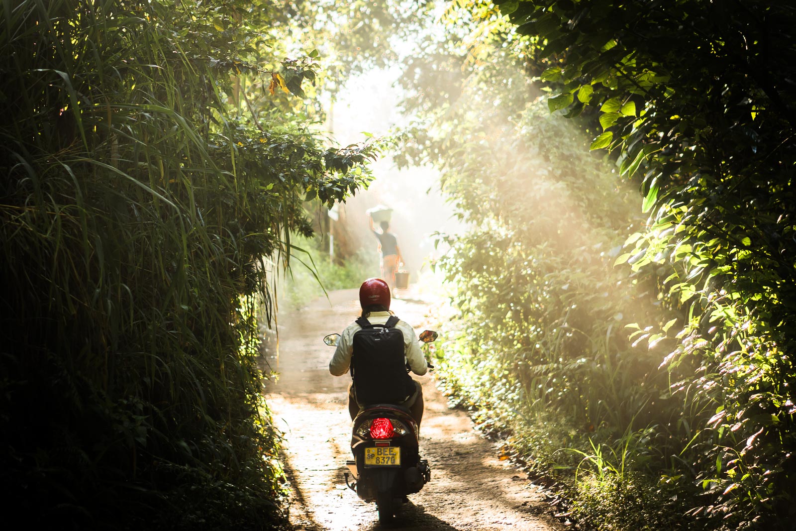 hillcountry-sri-lanka